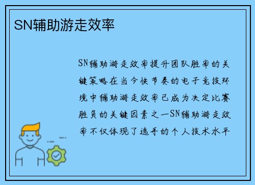 SN辅助游走效率